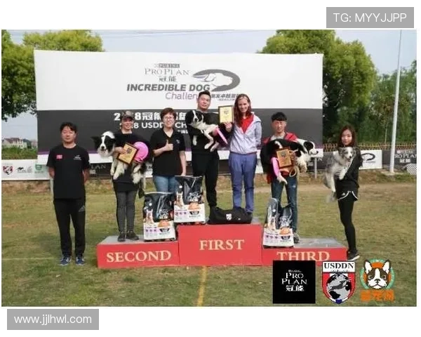 西安飞盘队在马拉松大满贯中的默契配合与精彩表现分析