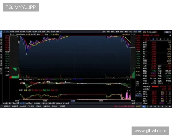 飞盘节奏全解析从基础技巧到高阶战术一网打尽